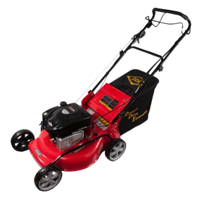 Бензиновая газонокосилка DDE WYZ20
