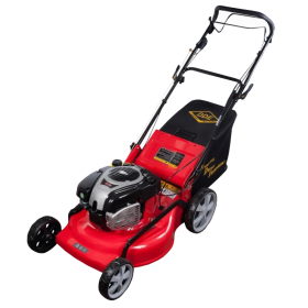 Бензиновая газонокосилка DDE WYZ22H