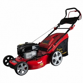 Бензиновая газонокосилка DDE WYZ20H2-13