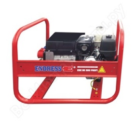 Генератор бензиновый Endress ESE 45 BS profi