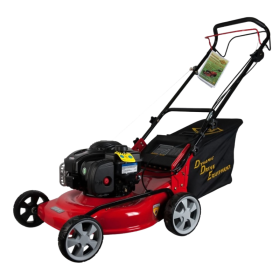Бензиновая газонокосилка DDE WYZ18